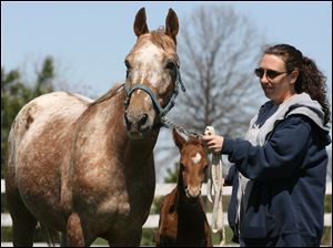 Kelly Seymour volunteered her family farm in Sandusky County north of Fremont as a foster home for four neglected horses from Lucas County. 'There's a lot of people struggling right now to even keep their horses,' she said.