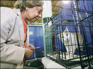 Oreda Bufkin of Toledo admires Jinxie, offered by the Toledo Area Humane Society for adoption, at the Spring Fling. Thousands of seniors attended the event presented by the Area Office on Aging of Northwestern Ohio and The Blade.