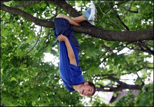 Slug: ROV treeclimb            Date 6/2/2009           The Blade/ Amy E. Voigt              Location: Toledo, Ohio  CAPTION:  East Side Central Elementary School student John Perez hangs upside down on a small tree in Navarre Park while on an outing with their sixth grade class. The kids were allowed to dress down (not wear their uniforms), have ice cream at Deb's Soft Kreme, and play in the park on the day before their last day of school.