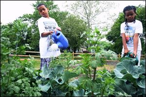 Richard Jackson, 12, and his sister, Mahogany, 10, both from Toledo, water plants at a garden at Monroe Street United Methodist Church. The church s Bridge Ministries distributes food baskets to neighbors in need. The garden is tended to by volunteers, many of whom are children with little knowledge of where their food originates.