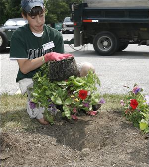 Trenton Bick, 12, gets ready to put one of the last petunia plants in
his section into the ground. The main palette this year is yellow and white with a garnish of purple. Young Bick and others in the Sylvania Youth Conservation Corps are to learn about recycling, composting, and soil testing during the corps' educational sessions. 