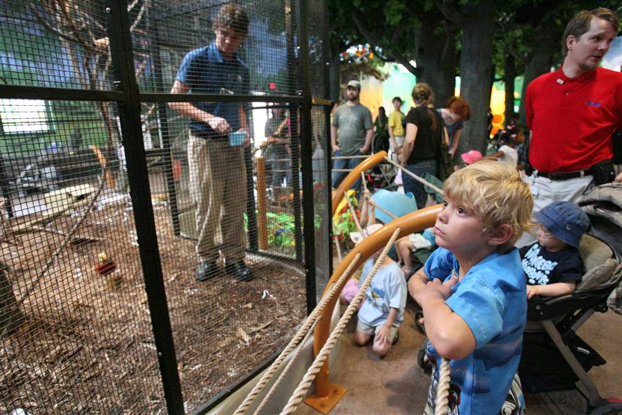 Handson children's zoo gets big hurrah from kids The Blade
