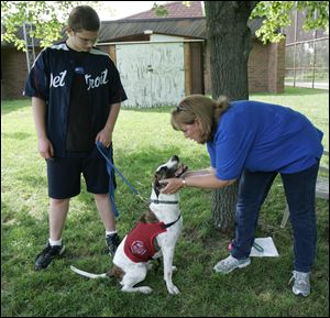 Dustyn watches as Meatball laps up the glowing praises trainer Cheryl Wassus is handing out at the Youth Center in Monroe.