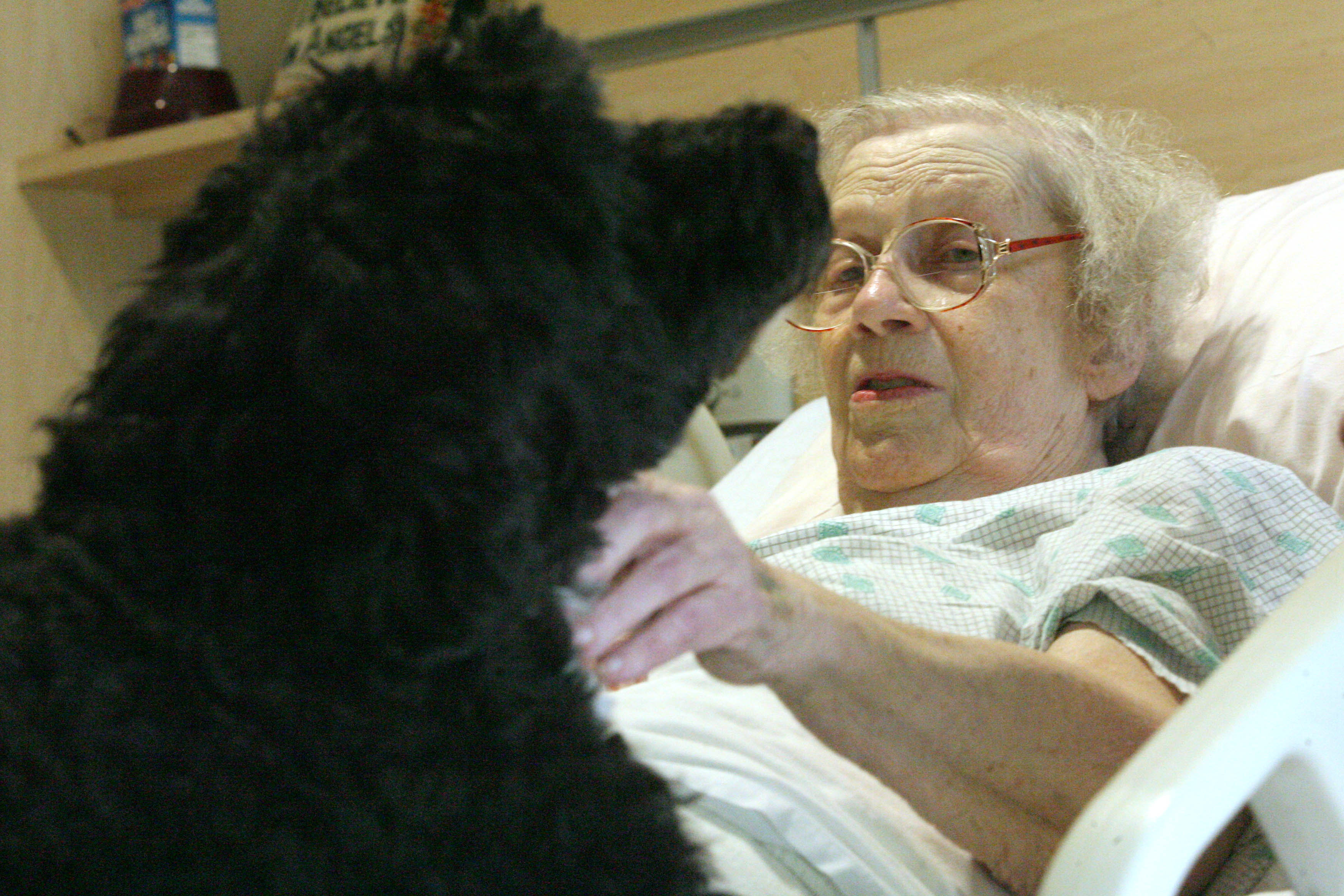 Ebeid Hospice Invites Dog To Cheer Up Patients The Blade