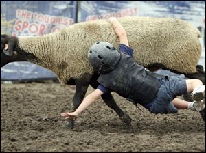 Ethan Day, 4, loses his grip on his ride during the Mutton Bustin' competition yesterday at the Ohio State Fair in Columbus. The winners receive a belt buckle for staying on a ride.