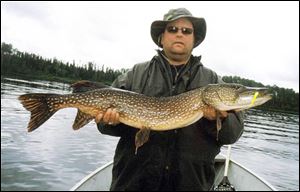 Terry Francis of Monclova proudly shows off a 41-inch northern pike he landed during a trip to Ontario.