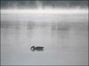 Cold air and the warmer water of the Maumee River create a scenic mist at the public dock in Walbridge Park in South Toledo.