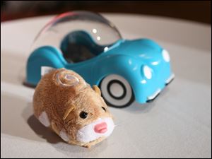 Cepia Inc.'s Zhu Zhu Pet Hamsters squeak and move around, and they've been impossible to keep on shelves, Toys R Us and Wal-Mart Stores Inc. say. The toy retails for $8 to $10.