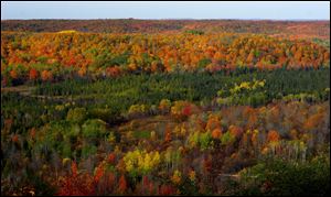 Fall colors at their peak in the Jordan River Valley near Mancelona, Mich.
