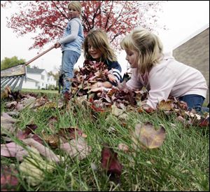Peyton Siegel, Haley Aldrich, and Cheyenne Schick, from left, second graders at Whiteford Elementary in Sylvania and members of Brownie Troop 1186, gather the leaves outside their school yesterday as part of a service project in which they learn to do things to help others.