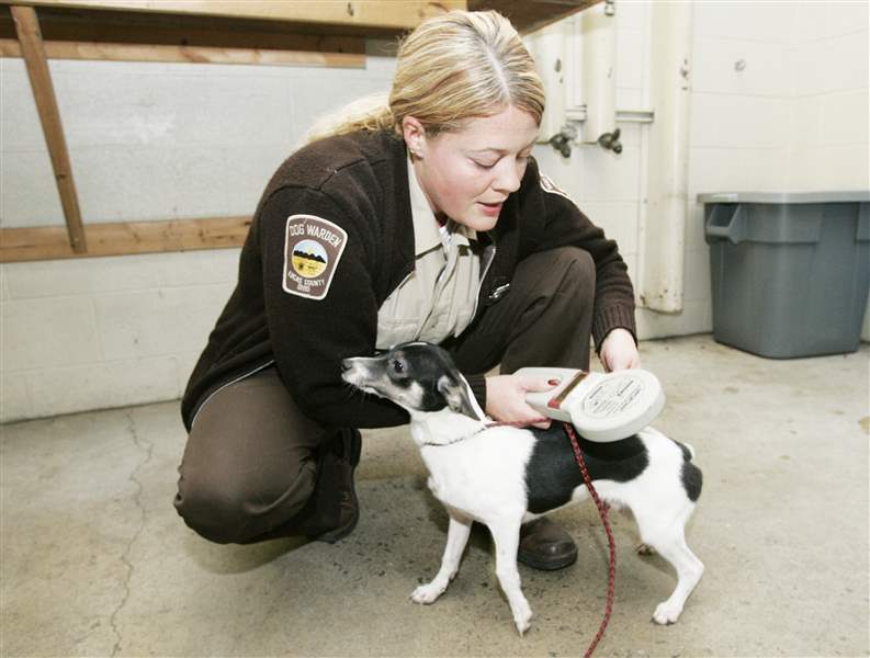 Lucas-County-dog-death-toll-rises-as-controversy-swirls-2