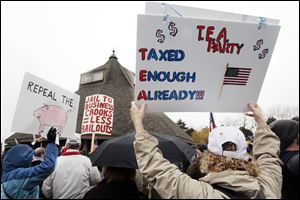 Demonstrators made a variety of points during the Tea Party protest in Toledo's International Park on April 15. 