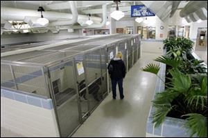 A visitor checks out dogs ready for adoption at the Montgomery County shelter. Dogs are housed in six-foot-high kennels in a brightly lighted 24,000-squarefoot building.