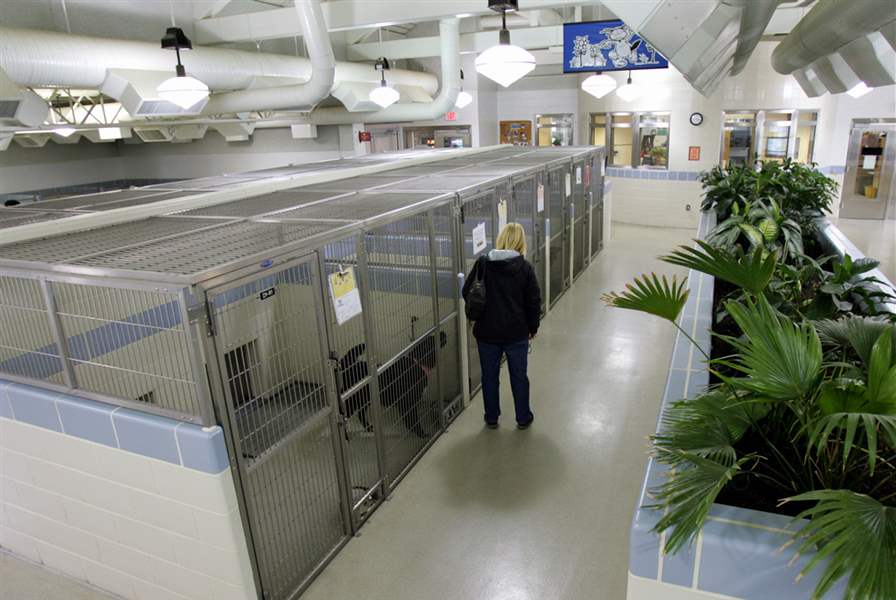 Dayton-shows-way-in-shelter-reform-animal-resource-center-becomes-model-2