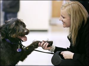 DaVinci, a 10-month-old Labradoodle, is congratulated by its owner, Teresa Everett of Toledo, after winning the Pick of the Litter photo contest. The winner, announced Tuesday at the Lucas County Dog Warden's Office by county Auditor Anita Lopez, gets the No. 1 dogtag for 2010, its photo on dogtag renewal forms, and a gift basket courtesy of Total Pet Care Services.