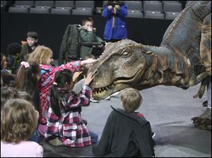 First and second graders from Maumee Valley Country Day School greet a baby Tyrannosaurus rex featured in ‘Walking with Dinosaurs,' which is coming to the Lucas County Arena for nine shows May 7-9. The production features the baby Tyrannosaurus, a stegosaurus, Utahraptor, and other life-size animatronic dinosaurs moving and growling onstage. The children were treated to a sneak peek at one of the stars during a news conference yesterday at the arena to announce the show.