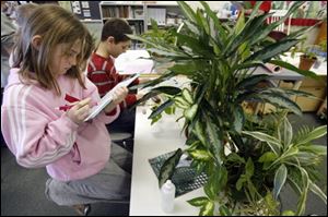 Leah Mattas, 9, a fourth grader at Fort Meigs Elementary, takes notes about the growth of one of the more than 200 plants that are part of the rain forest project.