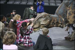 First and second graders from Maumee Valley Country Day School greet a baby Tyrannosaurus rex featured in ‘Walking with Dinosaurs,' which is coming to the Lucas County Arena for nine shows May 7-9. The production features the baby Tyrannosaurus, a stegosaurus, Utahraptor, and other life-size animatronic dinosaurs moving and growling onstage. The children were treated to a sneak peek at one of the stars during a news conference yesterday at the arena to announce the show.