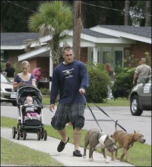 associated press Andrew and Misty Smith, with daughter Keeley Drew Smith, walk their American pit bull terriers in Beaufort, S.C. The breed was first recognized in 1898 and early in the 20th century became a favorite family pet for its affectionate behavior and intelligence.