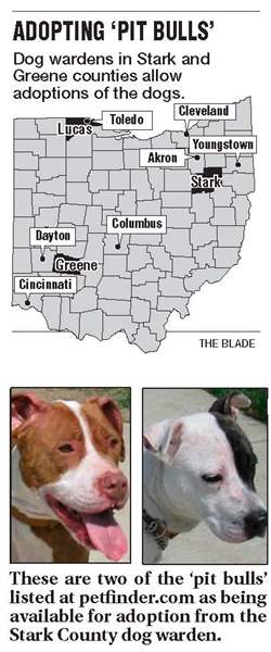 Decision-day-for-adoption-of-pit-bulls-nears-3