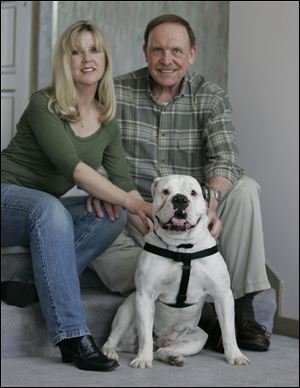 Vicki and Tom Gulch speculate that Winston formerly belonged to a truck driver because he loves to ride in vehicles. They decided to adopt him after seeing his picture in The Blade.