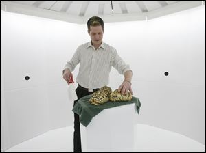 Jeff Nissen arranges the rare tortoises for their three-dimensional close-up. He raised the white-shelled reptiles.