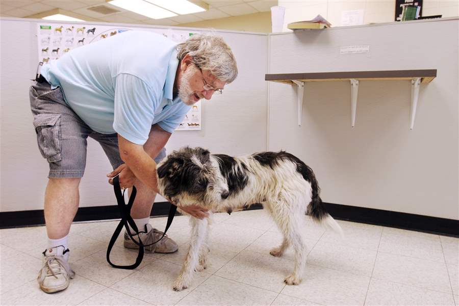 New warden makes gains at dog pound The Blade