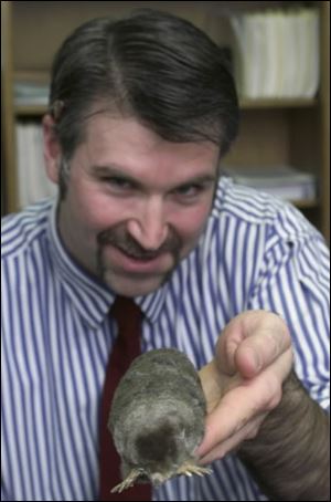 Dr. Joe Bruseo holds a stuffed mole, complete with its long nails, in the Bowling Green State University life science department.