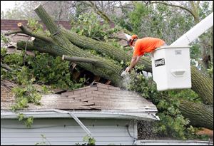 Kevin Gaunes, of the Toledo Division of Parks & Forestry, saws a tree which had fallen on Brandi Phillips' house on Harve Street in South Toledo.