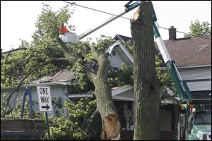 City employees remove a tree that fell onto Brandi Phillips' South Toledo home. 
