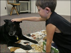 Noah Waszak of Toledo rewards Lucky with a pat on the head for listening to him read 'Diary of a Wimpy Kid: The Last Straw' in the Paws to Read program.