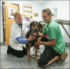 Dr. Roger Grothaus examines Tyson, who was was shot. The dog's owner is Josh Luck.