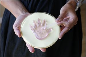 The Pinkies & Piggies kit contains a tray of modeling clay into which the child's hand or foot is pressed The tray is mailed to the Whitehouse company, which uses it to create the glass memento.