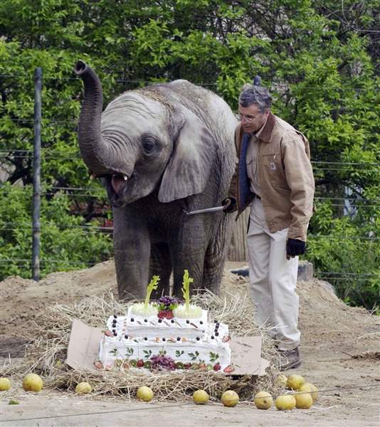 Attack-on-Toledo-keeper-rekindles-debate-on-zoo-elephants
