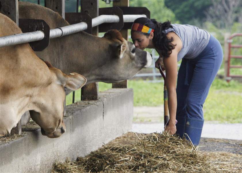 Ag-schools-trim-dairy-herds-as-costs-increase