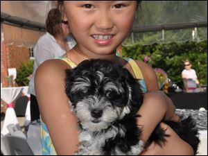 Angelina Barone, pictured here with a Havanese puppy.