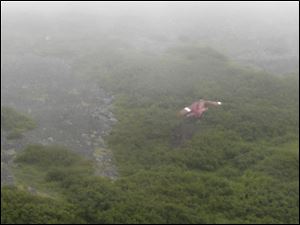 The wreckage of the float plane that carried former Sen. Ted Stevens and his fishing companions rests on a rocky, brush-covered slope near Dillingham, Alaska.