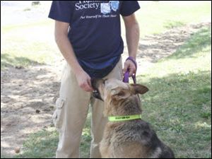 Staff member John Brown gives Sarge a treat at the Toledo Area Humane Society.