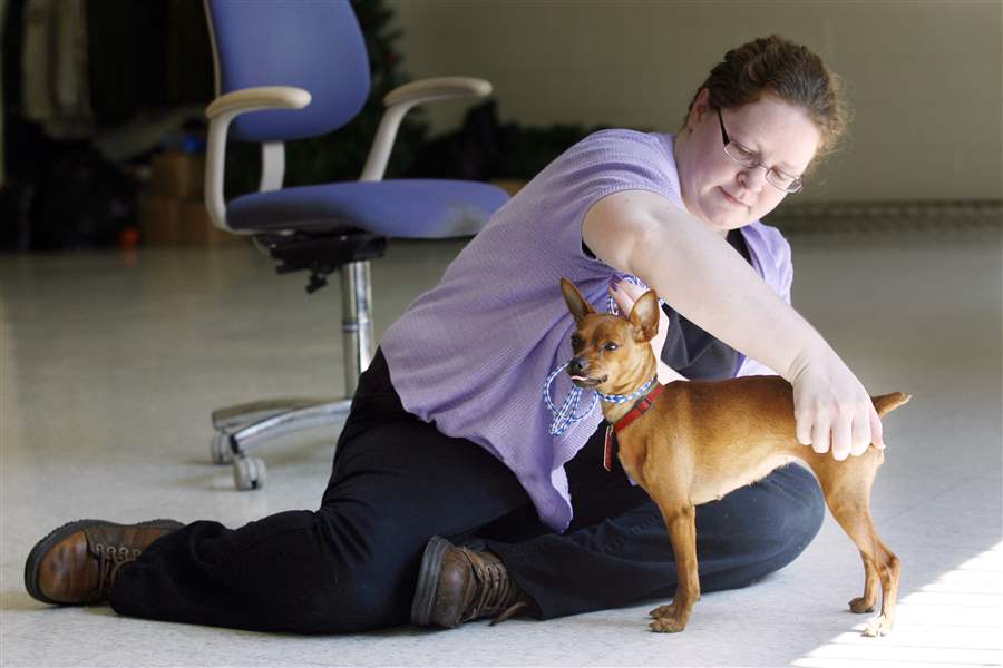 Hundreds of dogs still put down at county pound The Blade