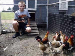 Cody Kaiser raises and sells about 400 chickens a year.