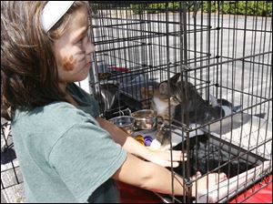 CTY petfood13p  Amber Hall, 7, of Toledo, evens out the pad in the cage of Little Ken and Gus, five month-old brothers available from Paws & Whiskers. The Church of St. Andrew's youth group, in creating a "bridge between youth and poverty", is hosting a "Pets in Poverty" event to benefit the Humane Ohio Pet Food Bank at the church in Toledo, Ohio on September 12, 2010. The food bank, which accepts food for pets from dogs to frogs, as well as toys and blankets, is open on Mondays from 10-1 for eligible persons with a pet.  Jetta Fraser/The Blade