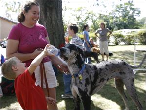 CTY petfood13p  Merlin, a one-year-old rescued Great Dane, gets some water from Chase Kubista, 6. Chase and Merlin have grown up together, says his mom, Cheryl Kubista, center. They live in Woodville.  The Church of St. Andrew's youth group, in creating a "bridge between youth and poverty", is hosting a "Pets in Poverty" event to benefit the Humane Ohio Pet Food Bank at the church in Toledo, Ohio on September 12, 2010. The food bank, which accepts food for pets from dogs to frogs, as well as toys and blankets, is open on Mondays from 10-1 for eligible persons with a pet.  FYI: The Toledo Humane Society is holding a "Tail end of Summer" adoption promotion through September 22, in which adopters need pay only $22 for the adoption fee. Jetta Fraser/The Blade
