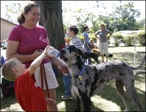 CTY petfood13p  Merlin, a one-year-old rescued Great Dane, gets some water from Chase Kubista, 6. Chase and Merlin have grown up together, says his mom, Cheryl Kubista, center. They live in Woodville.  The Church of St. Andrew's youth group, in creating a 