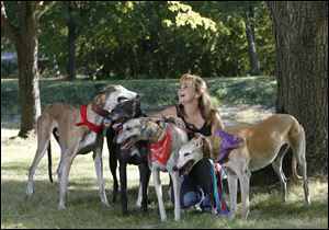 Pam Green, who began '2nd Chance at Life - Ohio Heavenly Hounds' in May, is surrounded by Ike, left, Milo, Gotcha, and Vanilla in Delta, Ohio.