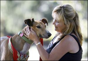 Pam Green shares a moment with Mike, a 3-year-old greyhound mix available for adoption through her group.