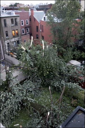 Branches and trees litter backyards in New York on Thursday.