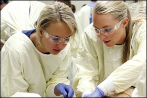 Ashley Sheskey, left, and Natalie Kerestes work together in the anatomy lab.