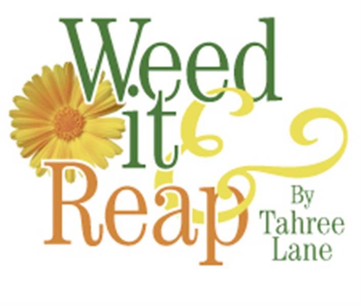 Weed-It-Reap-Gardening-keeps-Diane-O-Connell-stress-free-2