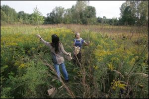 Stephanie Saba, left, and Heather Clendenin, Members of Wild Ones, gather seeds in Michelle Grigore's prairie.
