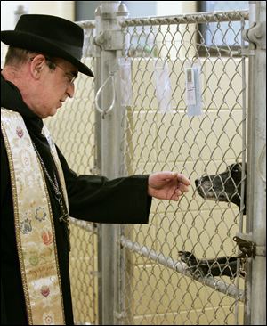 Bishop Brian Kennedy of Holy Trinity Celtic Orthodox Church in Toledo visits with Buddy, a male Labrador mix, after blessing animals in the Toledo Animal Shelter Sunday.